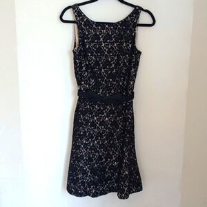 White House Black Market Lace Fit Flare Dress Size 0